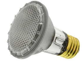Lamp, PAR20 Halogen Flood